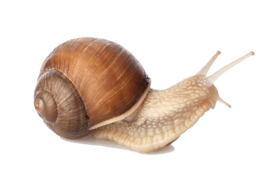 0600d794-5972-940x639.png