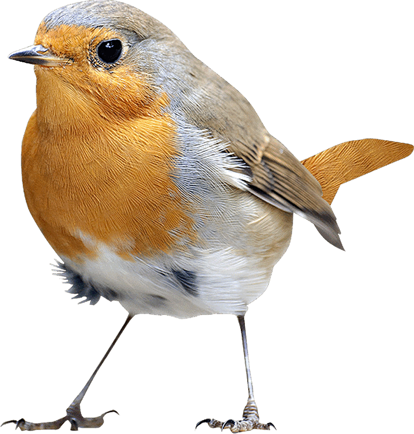 0600d79g-e9e0-832x872.png