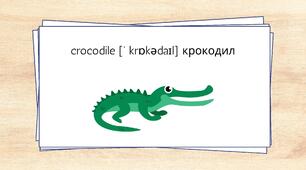 Англійська мова | Дикі та екзотичні тварини