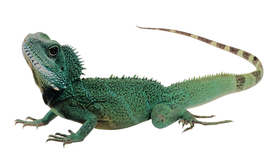 0600d79m-4e3a-940x520.png