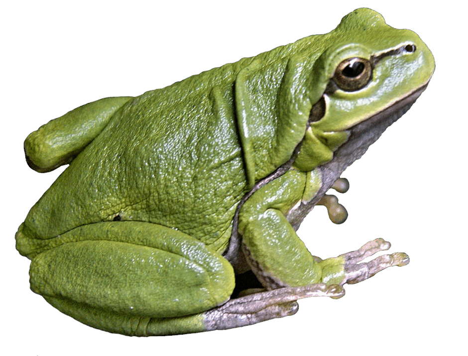 0600d7a3-47c9-940x716.png