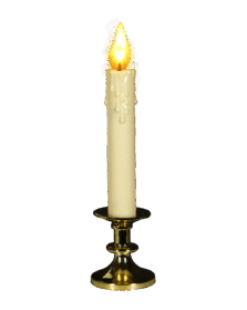 0600d7ax-f181-223x279.png