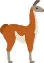 0600d9vp-0b4b-89x127.webp