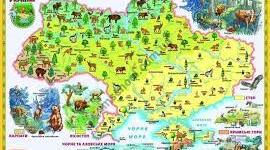 Грунти, рослинний та твариний світ України