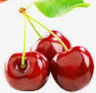 0600dc4g-6ed1-148x143.png