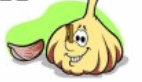 0600dcag-6188-307x177.png