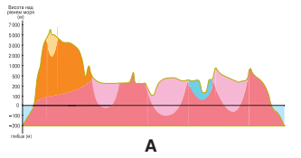 0600df87-befa-333x175.png