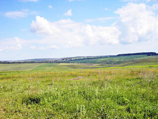 0600dfo2-6006-318x239.jpg