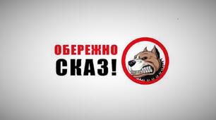 Презентація "Сказ: шляхи захворювання та як уберегтися."