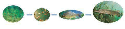 0600dj2t-0754-478x113.png
