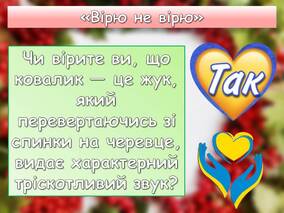 0600dj7l-ee6f-284x213.jpg