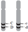 0600djp1-402a-117x136.png