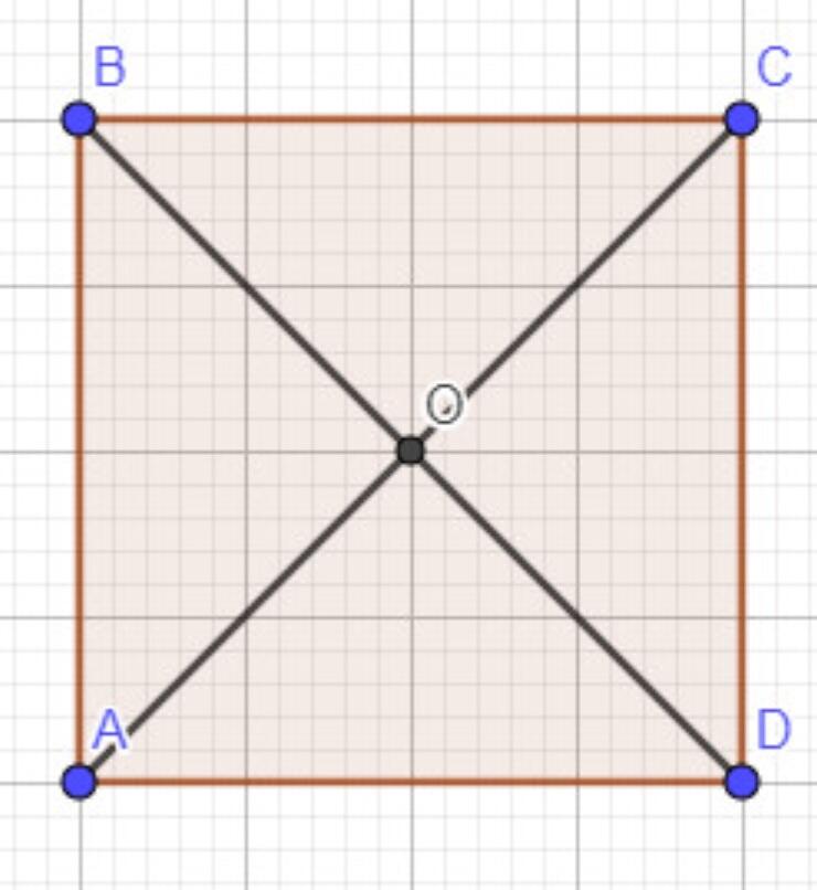 0600dkbi-7531-740x806.jpg