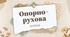 Презентація :  "Опорно-рухова система"