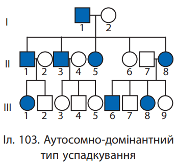 0600dmn7-5849-345x321.png