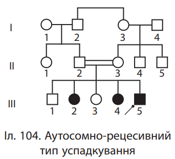 0600dmne-db49-342x311.png