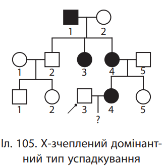 0600dmno-6ef3-331x331.png