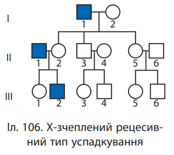 0600dmnx-5f17-349x310.png