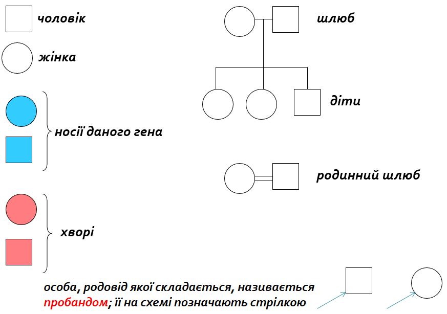 0600dmr1-7bb6-873x614.png