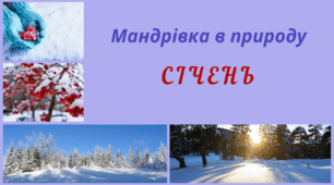 Мандрівка в природу.  СІЧЕНЬ. Спостереження за змінами в довкіллі