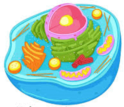 0600dryv-51f2-402x346.png