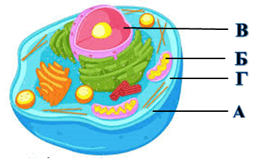 0600ds0a-2c92-363x226.png
