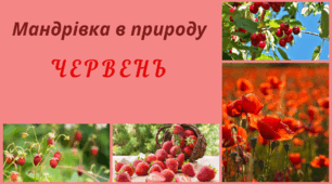 Мандрівка в природу. ЧЕРВЕНЬ. Спостереження за змінами в довкіллі