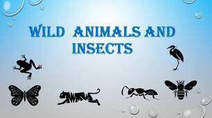 Vocabulary - Wild animals and insects - Unit 7 "Wildlife watch" Gateway 2nd Edition A2