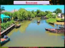 0600dvid-d8c1-215x161.jpg