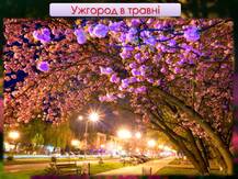 0600dvip-3952-217x163.jpg