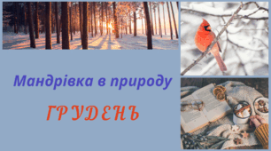 Мандрівка в природу. ГРУДЕНЬ. Спостереження за змінами в довкіллі