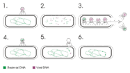 0600e10o-7bc5-187x105.png