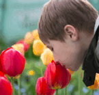 0600e1p5-3863-145x139.png