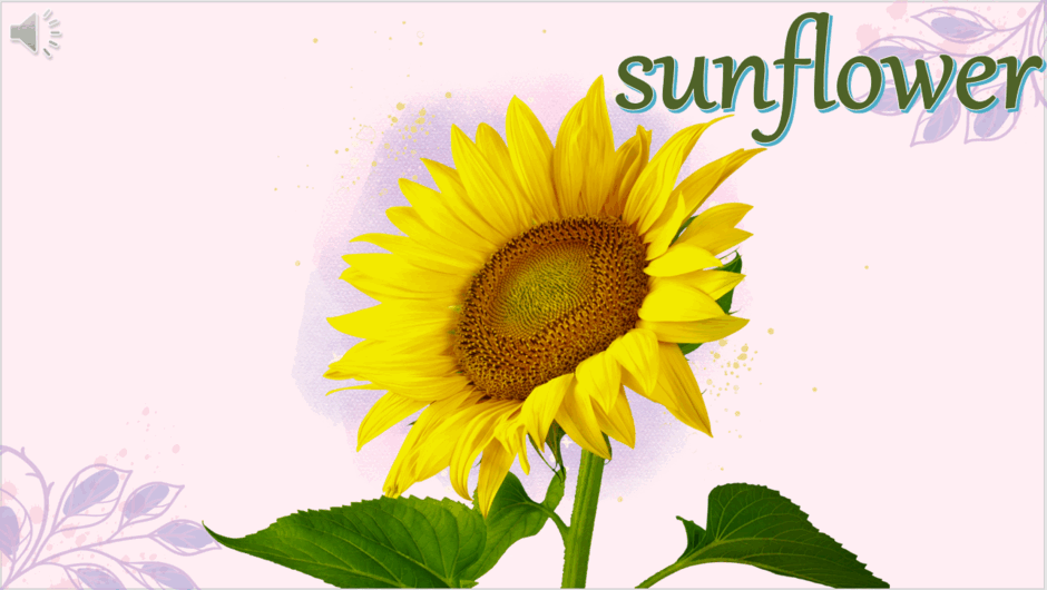 0600e4hb-5248-940x530.png