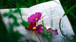 Дизайн книги.