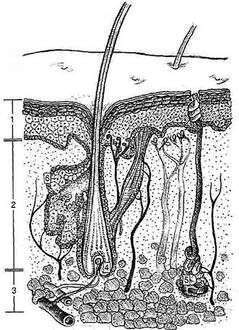 0600e4y6-284c-239x330.jpg