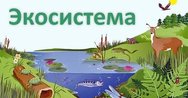 0600e4yq-25f8-387x203.jpg