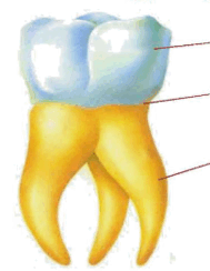 0600e6wb-c897-189x244.png