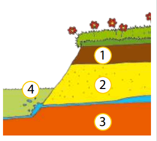 0600e7d9-5414-313x282.png
