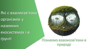 Тест з уроку Пізнаємо природу для 6 класу на тему «Які є взаємозв’язки організмів у наземних екосистемах і в ґрунті»