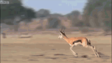 0600e9we-ac00-371x208.gif