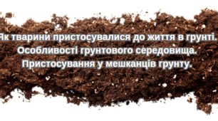 Презентація на тему: "ЯК ТВАРИНИ ПРИСТОСУВАЛИСЯ ДО ЖИТТЯ В ҐРУНТІ"