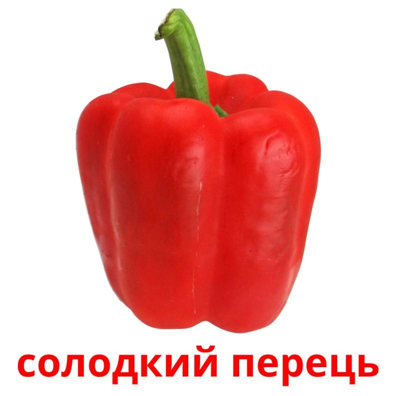 0600ec4l-181d-793x793.jpg