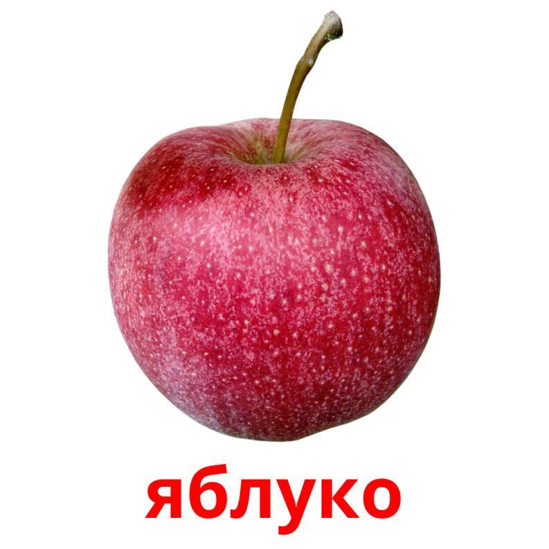 0600ec57-9df6-793x793.jpg