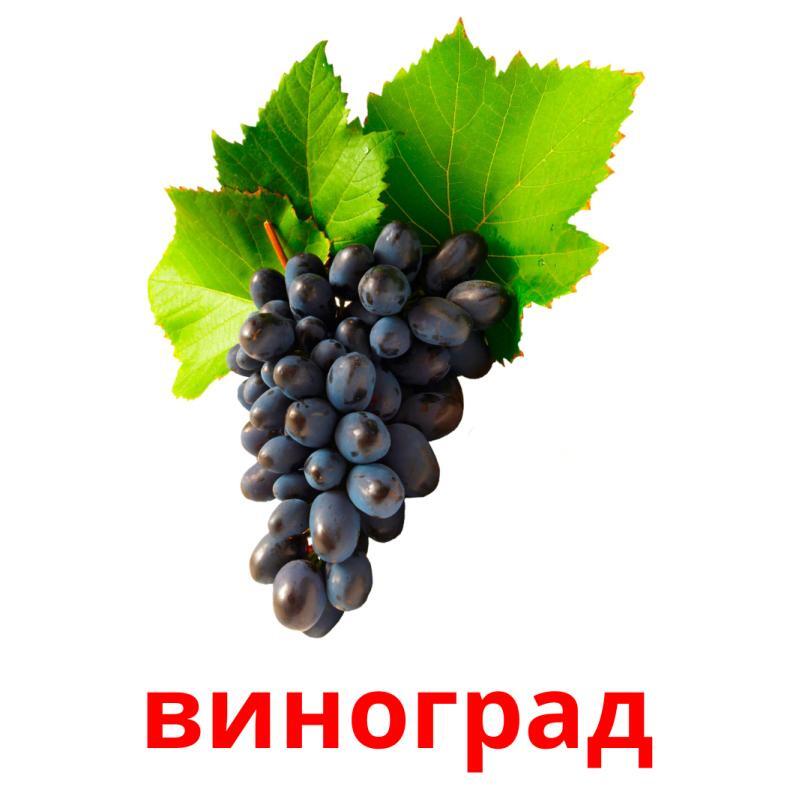 0600ec5c-7c56-793x793.jpg