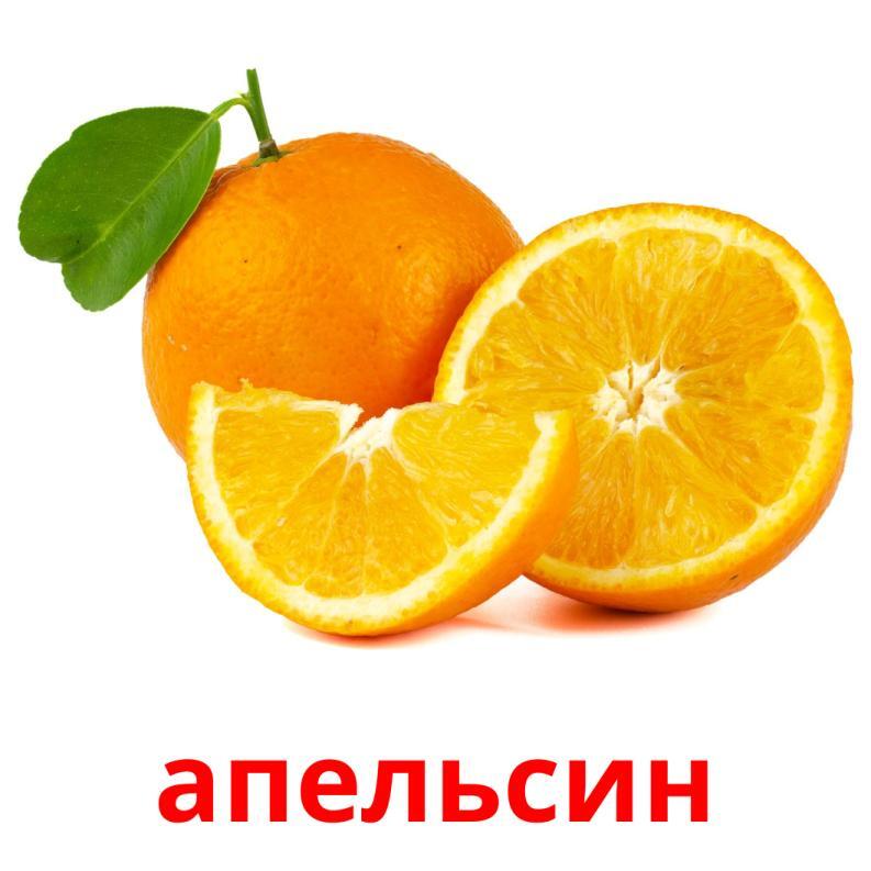 0600ec5j-e66e-793x793.jpg