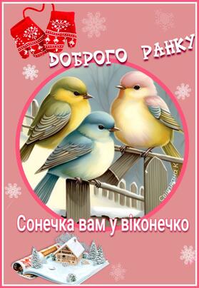 0600ed0g-6117-279x404.jpg