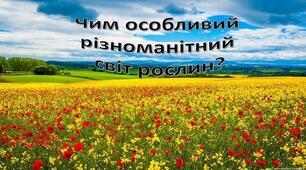Чим особливий різноманітний світ рослин?