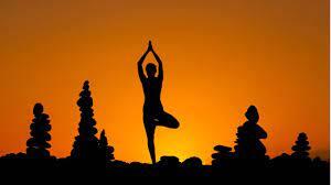Famous Yoga Teachers in India