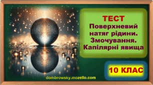 Тест по темі: «Поверхневий натяг рідини. Змочування. Капілярні явища» 